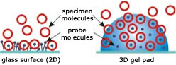 Comparison of molecular interactions on the surface and gel-based microchips.